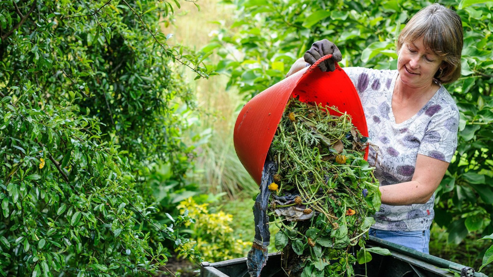 10 Easy Tips for Beginners on Home Gardening