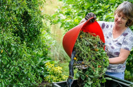 10 Easy Tips for Beginners on Home Gardening