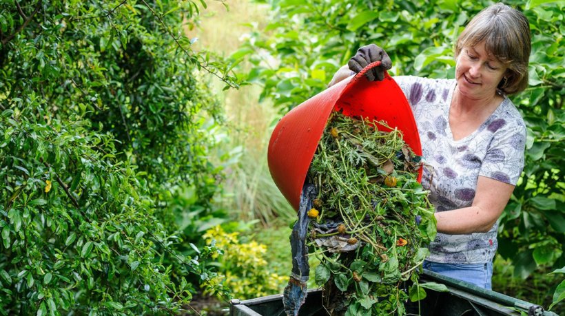 10 Easy Tips for Beginners on Home Gardening