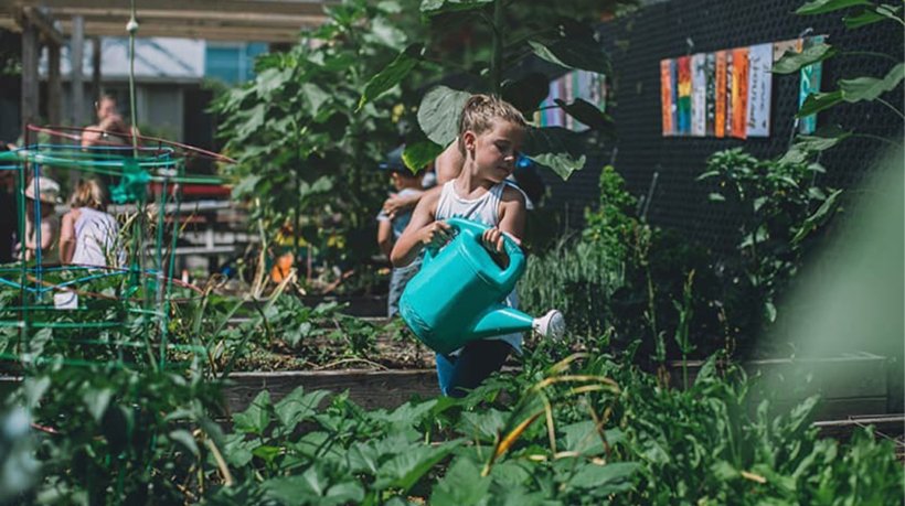 10 Easy Ways to Live Greener