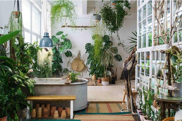 Create a Stylish Indoor Garden in Your Home