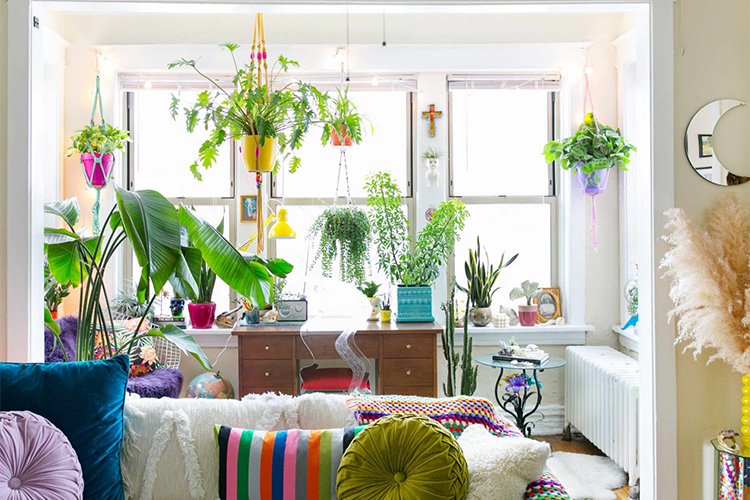 Create a Stylish Indoor Garden in Your Home