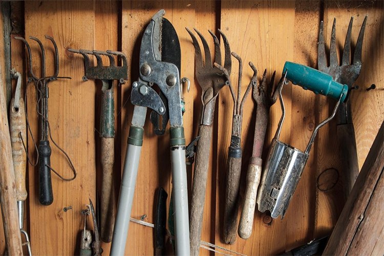 Essential Gardening Tools Every Homeowner Needs