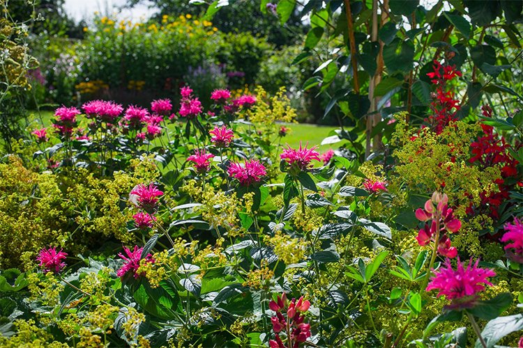 How to Keep Your Garden in Bloom Every Season