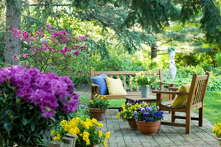 How to Keep Your Garden in Bloom Every Season