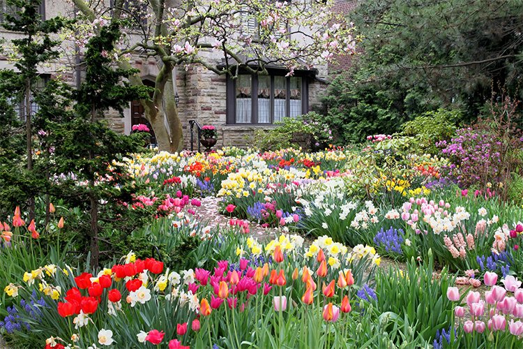 How to Keep Your Garden in Bloom Every Season
