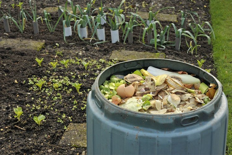 Set up a composting system in your garden