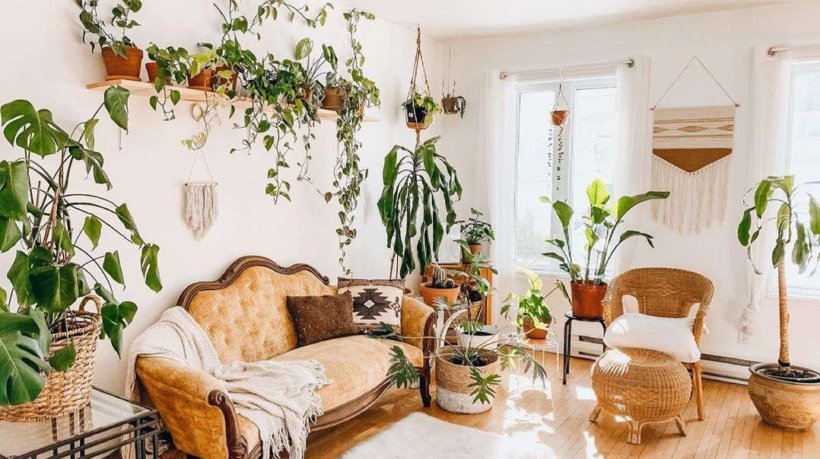 Create a Stylish Indoor Garden in Your Home