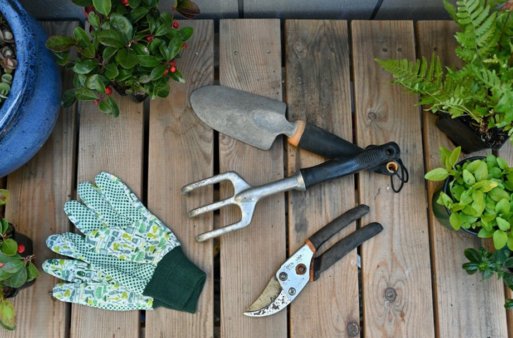 Essential Gardening Tools Every Homeowner Needs