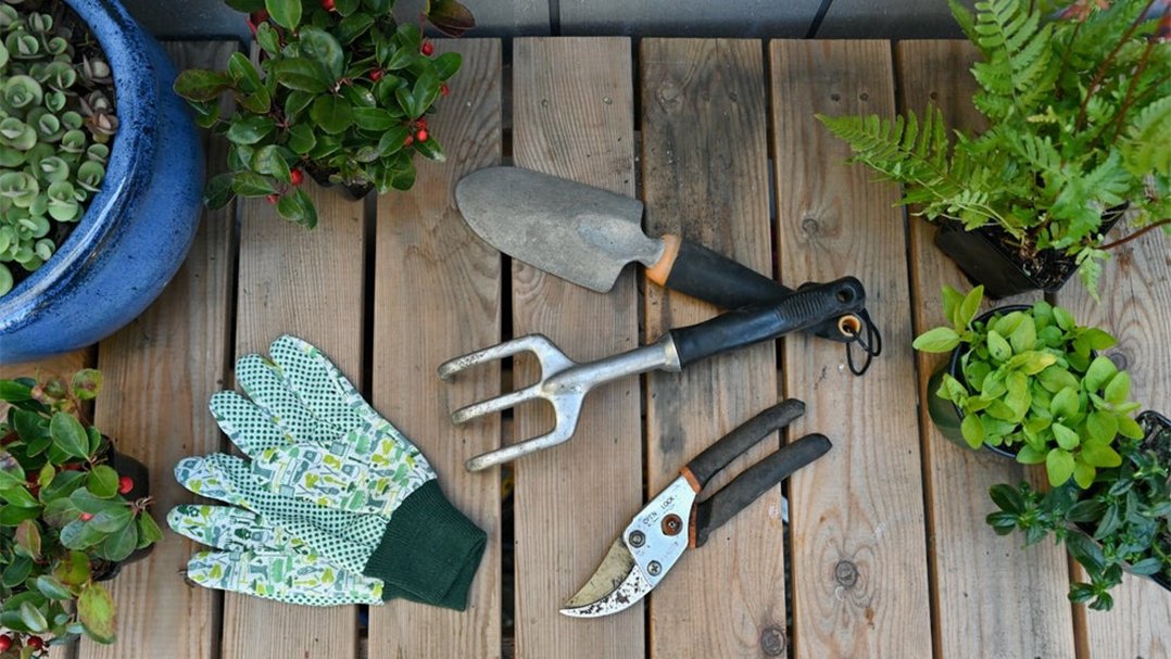 Essential Gardening Tools Every Homeowner Needs