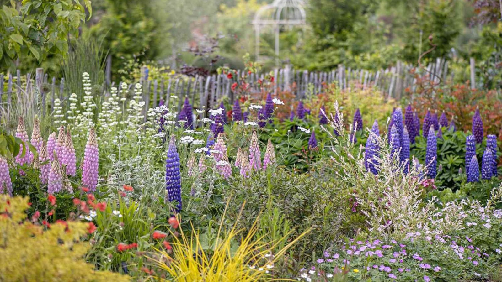 How to Keep Your Garden in Bloom Every Season