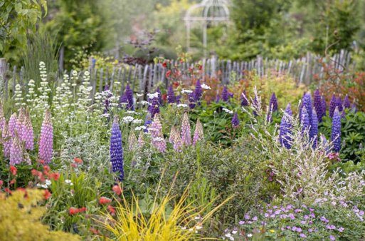 How to Keep Your Garden in Bloom Every Season