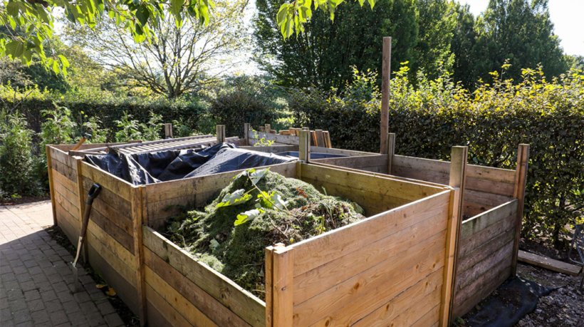 Set up a composting system in your garden
