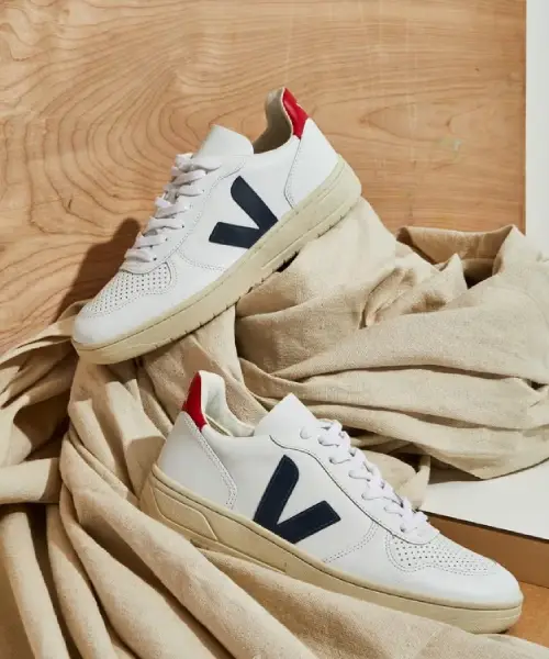 Veja Sneakers Review