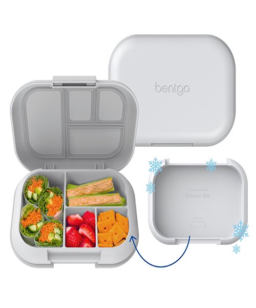 Product 4 Insulated Lunch Box — Bentgo or PackIt Freezable